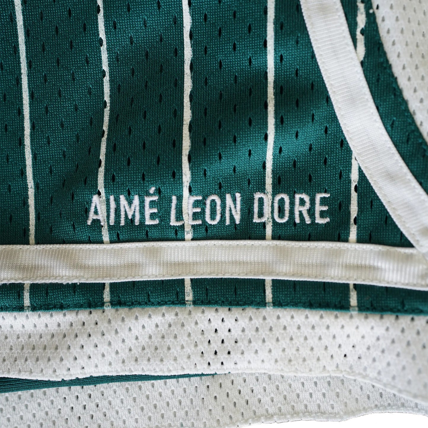 aime Leon dore stripe court shorts Green